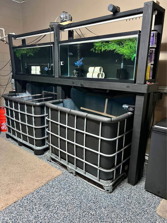 Setup Completo de Peceras – Fish Tank System | Mundo Ofertas CR