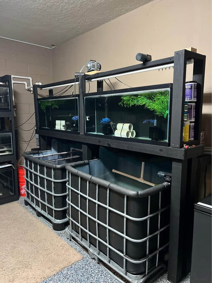 Setup Completo de Peceras – Fish Tank System | Mundo Ofertas CR