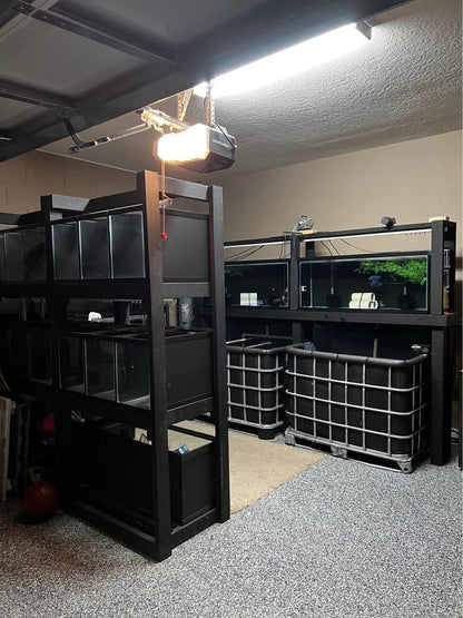 Setup Completo de Peceras – Fish Tank System | Mundo Ofertas CR